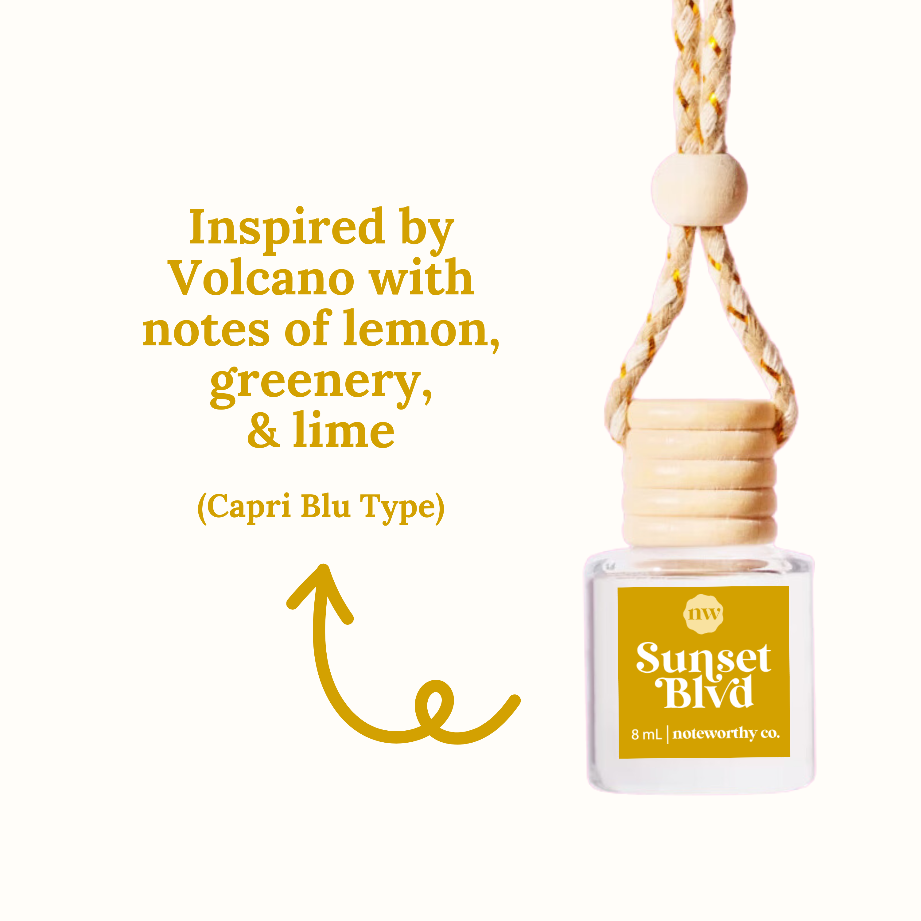 Noteworthy Co - Car Diffusers